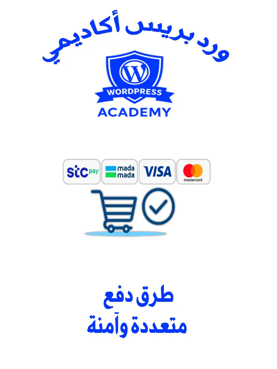 تصميم المتاجر الالكترونية1 a1